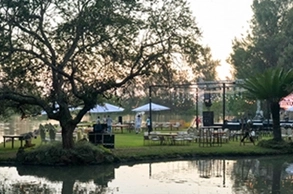 Evento en el Pinar